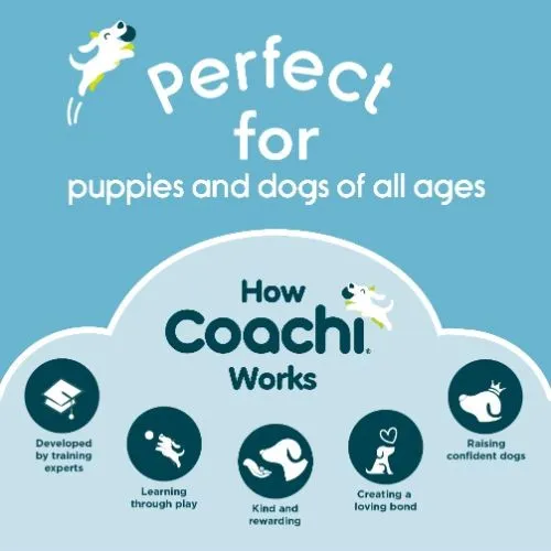 Coachi Coral Training Whistle