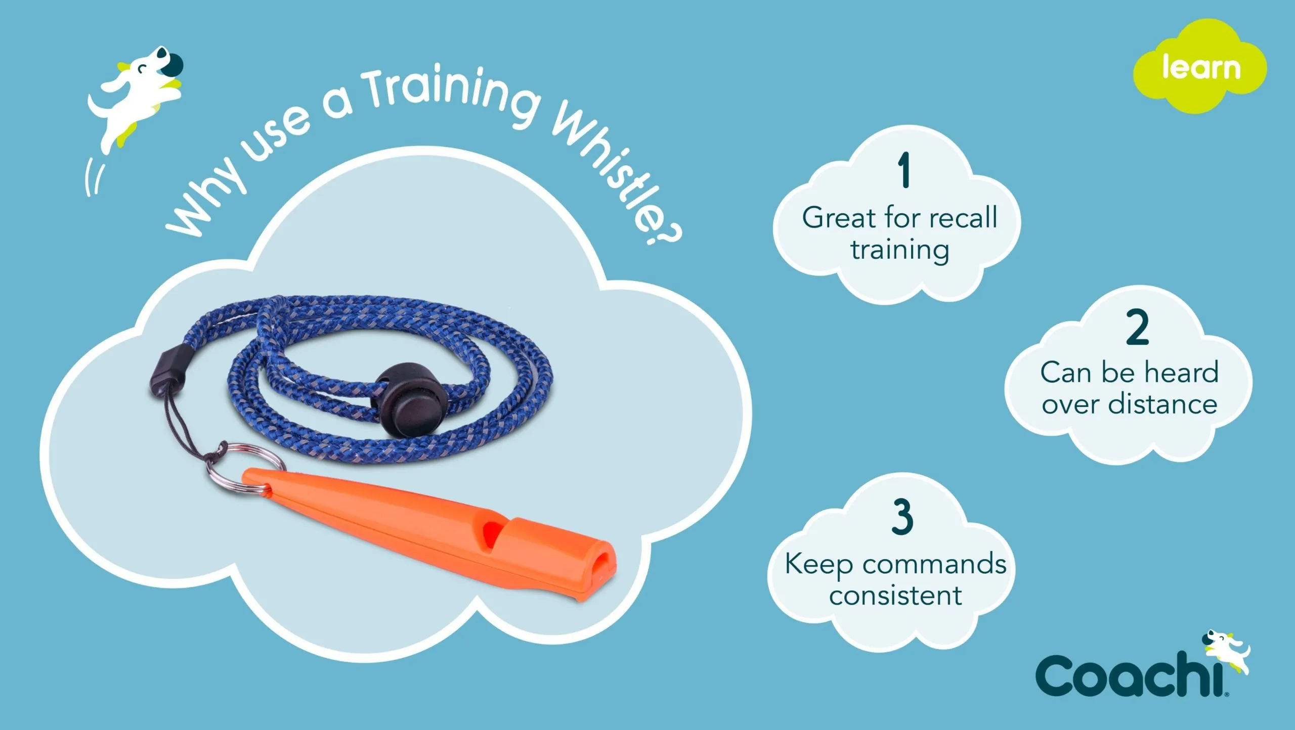 Coachi Training Whistle