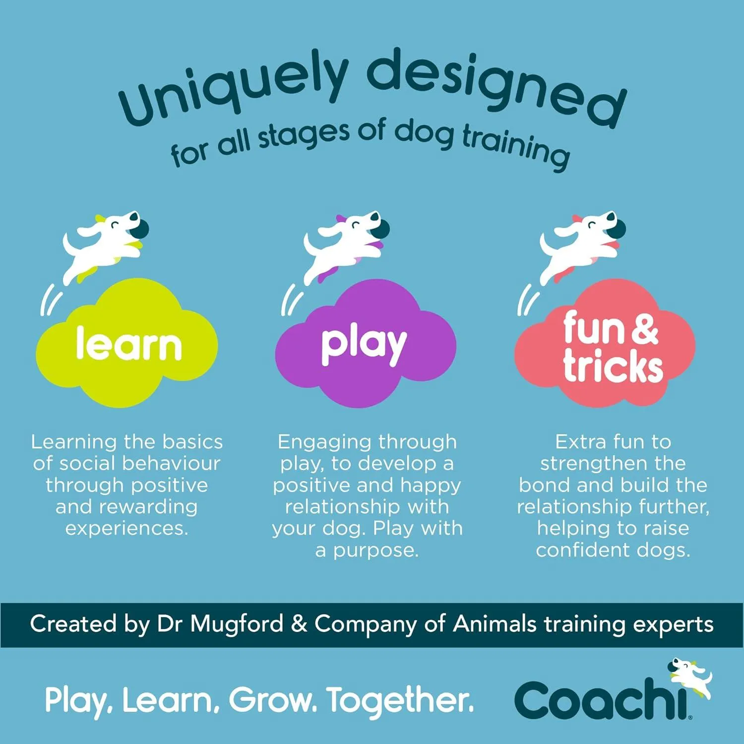 Coachi Training Whistle