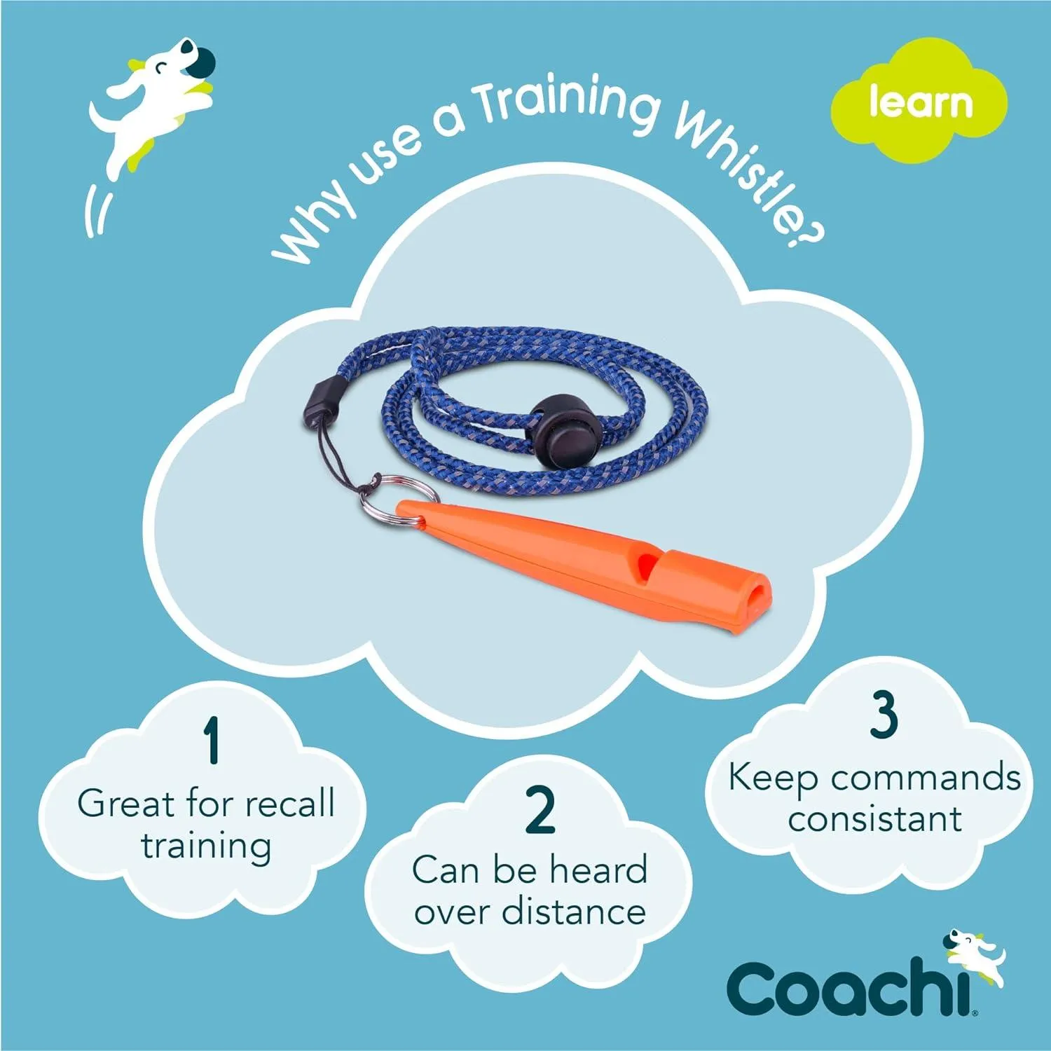Coachi Training Whistle