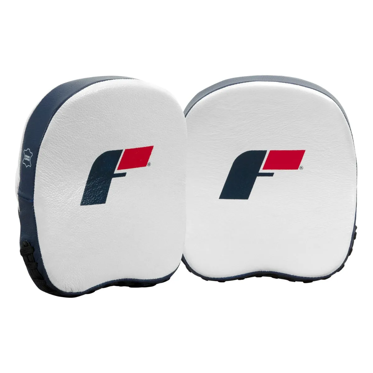 Fighting Force Micro Leather Punch Mitts