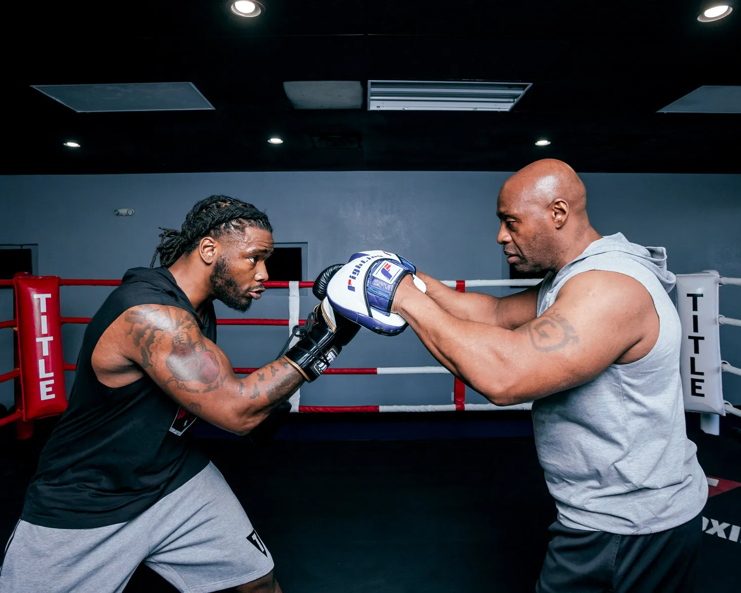 Fighting Force Micro Leather Punch Mitts