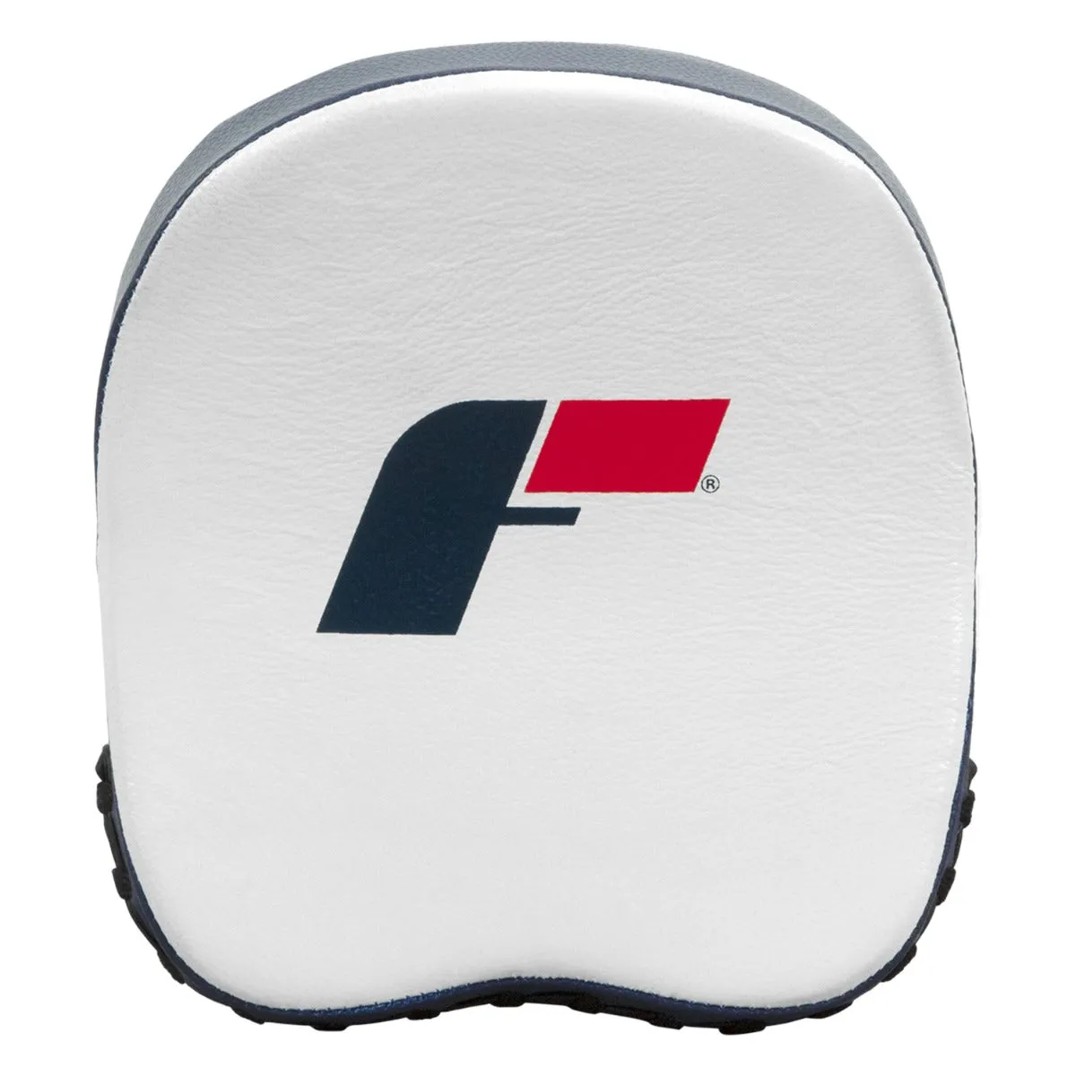 Fighting Force Micro Leather Punch Mitts