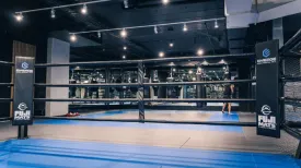 Fuji Boxing Ring Corner Pads
