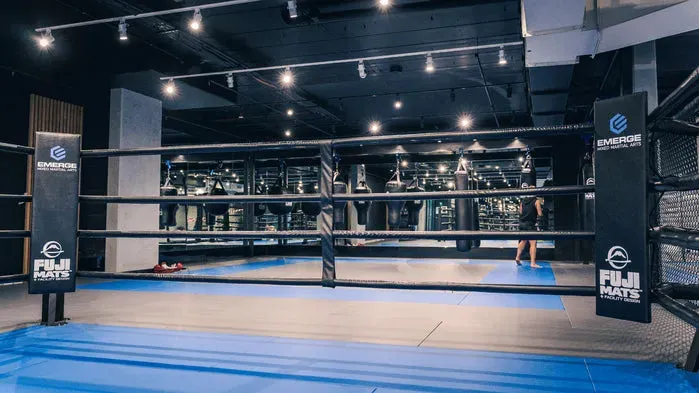 Fuji Boxing Ring Corner Pads