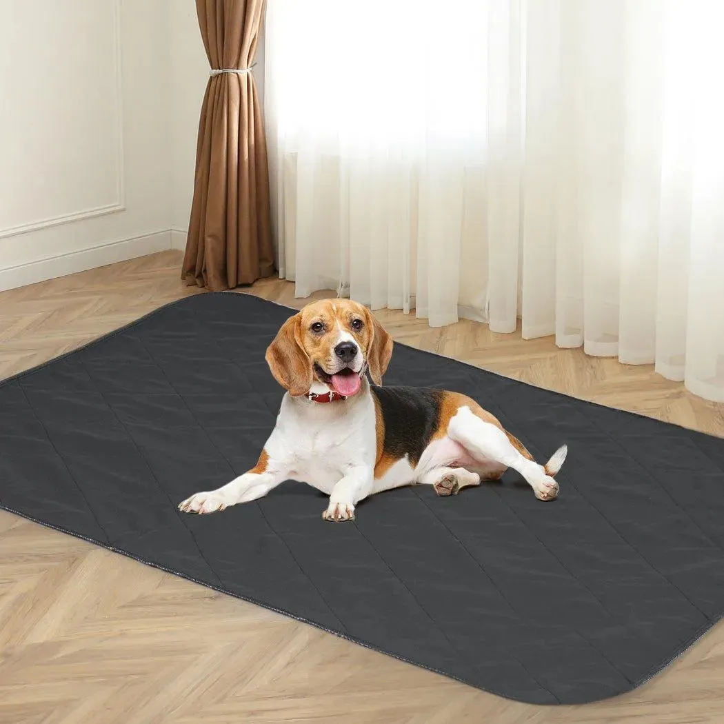 PaWz Reusable Dog Pee Pad - Washable Pad