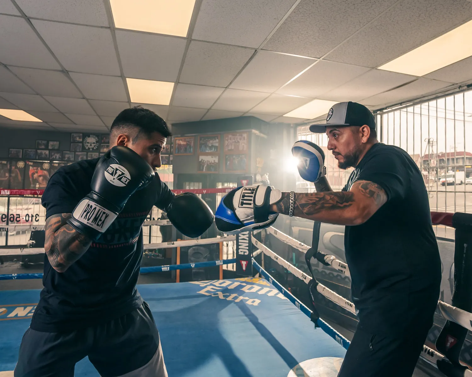 TITLE Boxing Flurry Micro Pro Punch Mitts