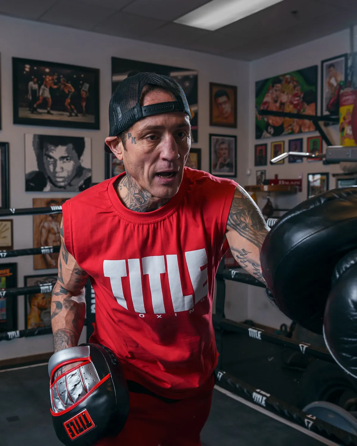 TITLE Boxing Valiant Punch Mitts